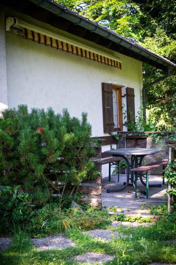 Ferienhaus Schetterエック エクステリア 写真